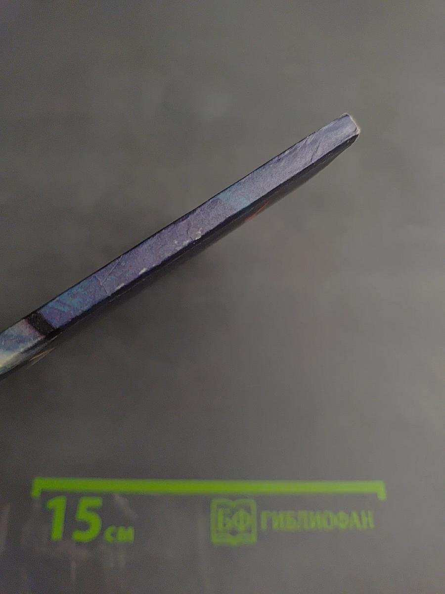 Крылатый следопыт Заполярья