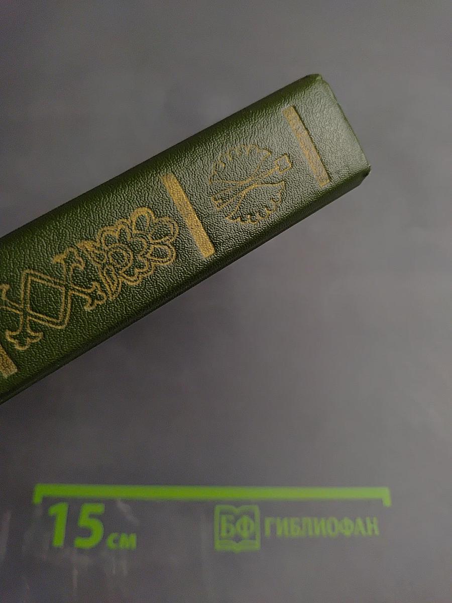 Волга родная. Сказки народов Башкирии, Татарии и Чувашии