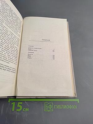 Учитель словесности