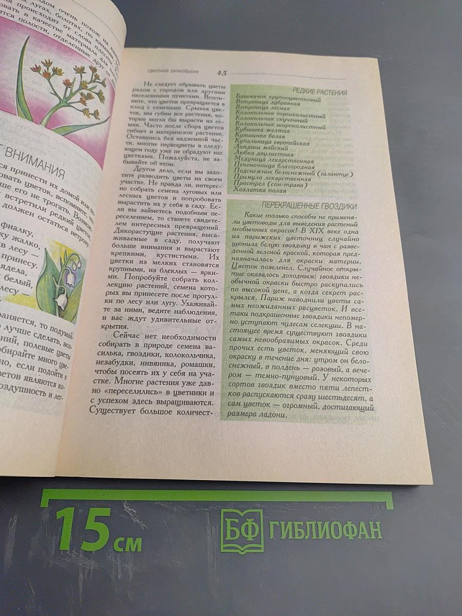 Первый букет. Увлекательная энциклопедия о цветах
