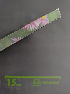 Первый букет. Увлекательная энциклопедия о цветах