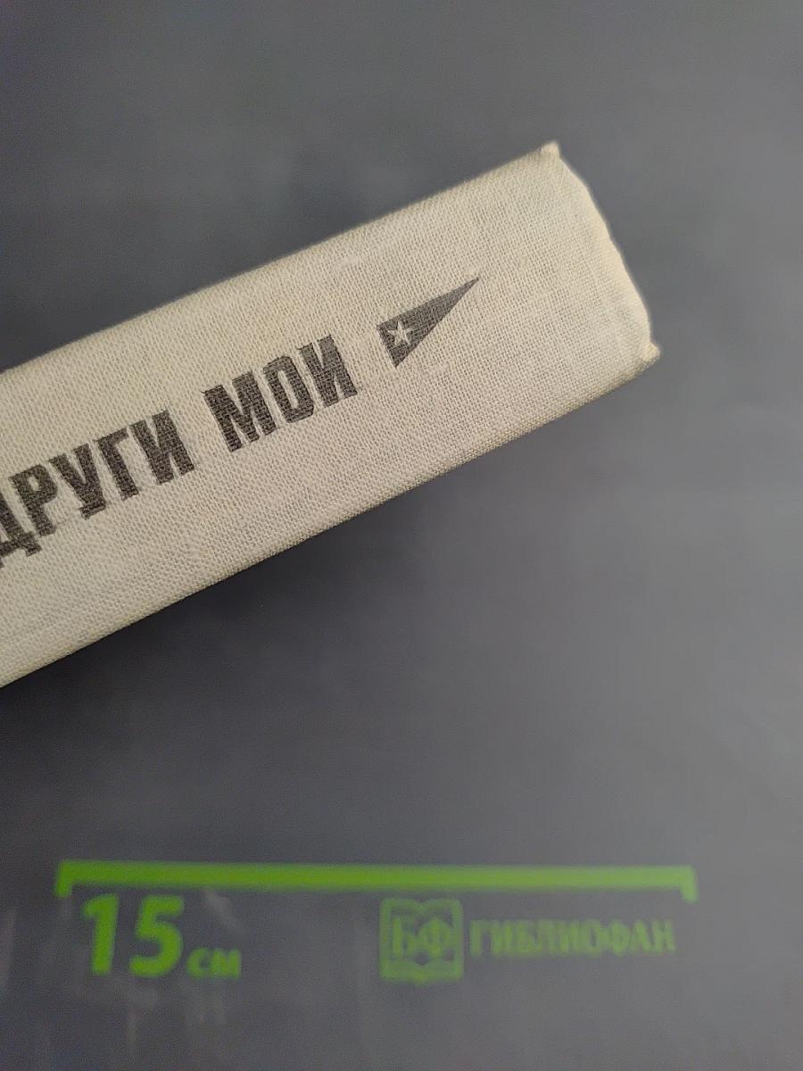 Боевые подруги мои