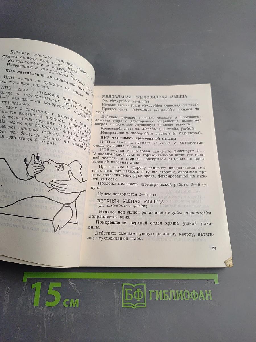 Мануальная терапия миофасциальных болевых синдромов