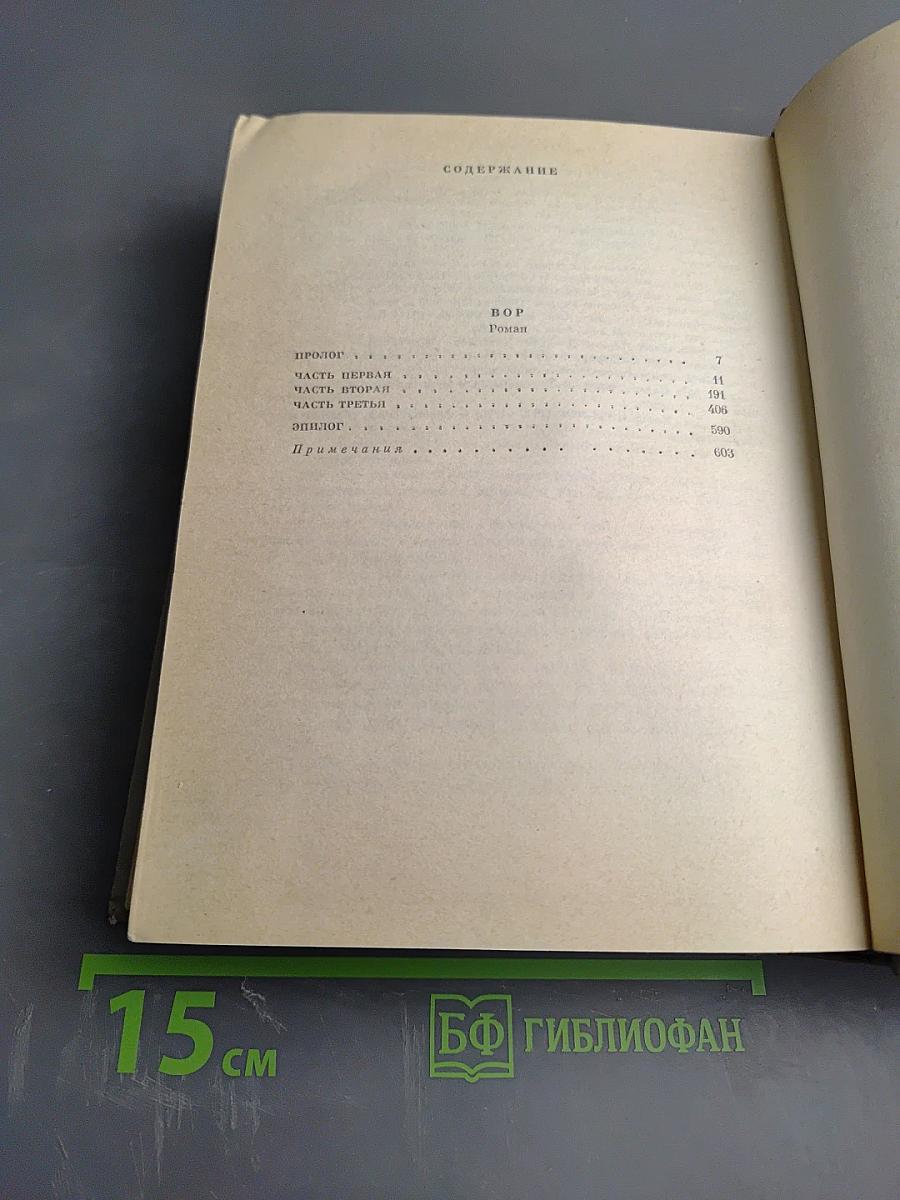 Собрание сочинений: Том третий. Вор. Роман