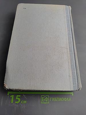 В Стране Ивана