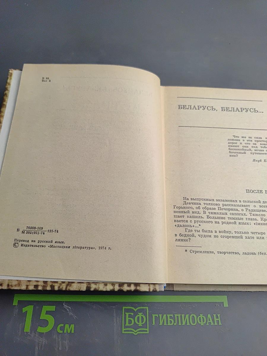 Витражи: Миниатюры и лирические записи