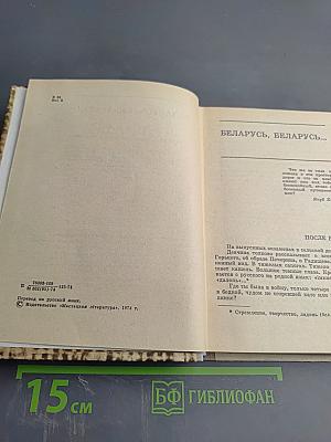 Витражи: Миниатюры и лирические записи