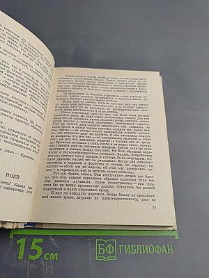 Витражи: Миниатюры и лирические записи