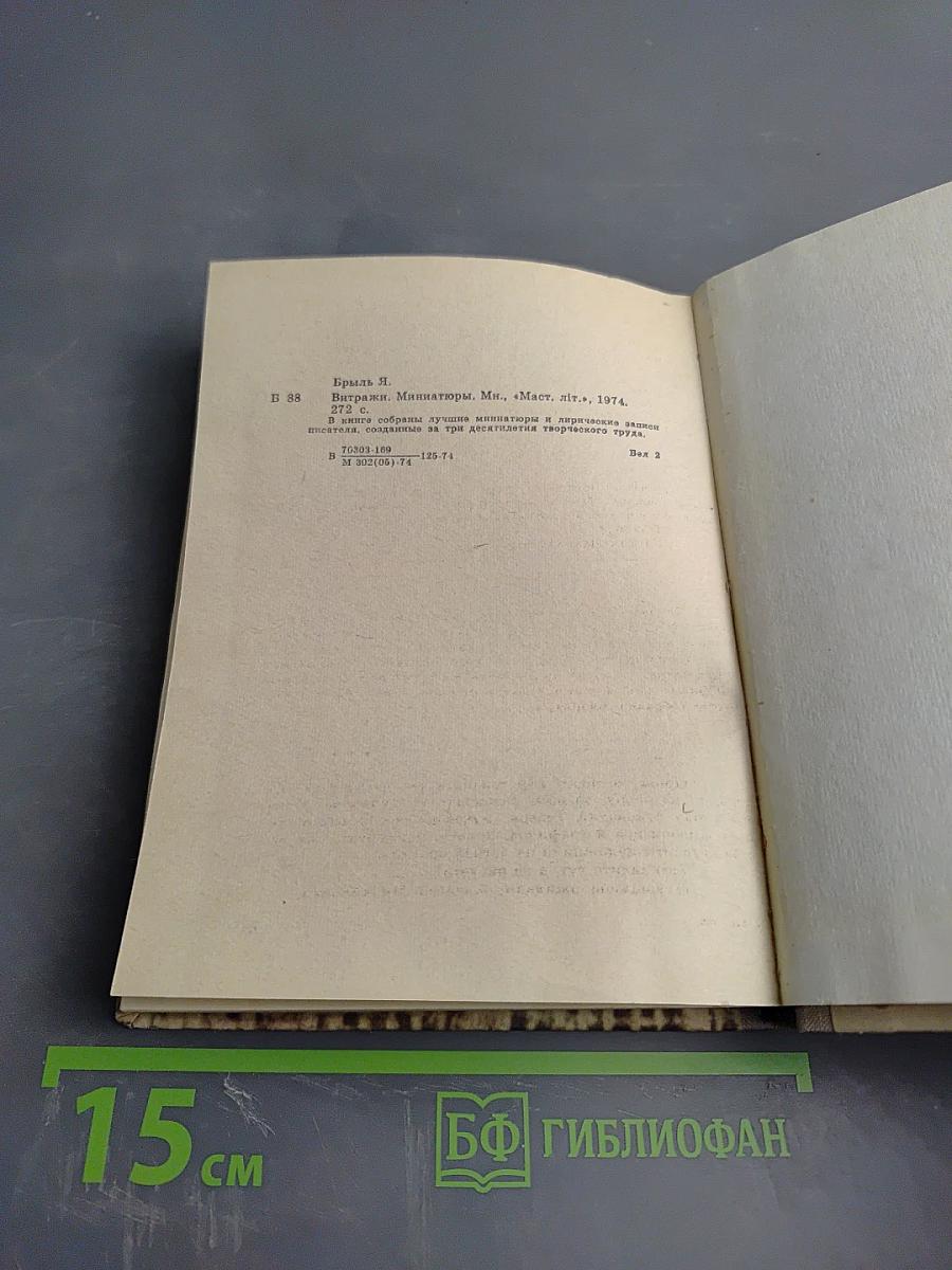 Витражи: Миниатюры и лирические записи