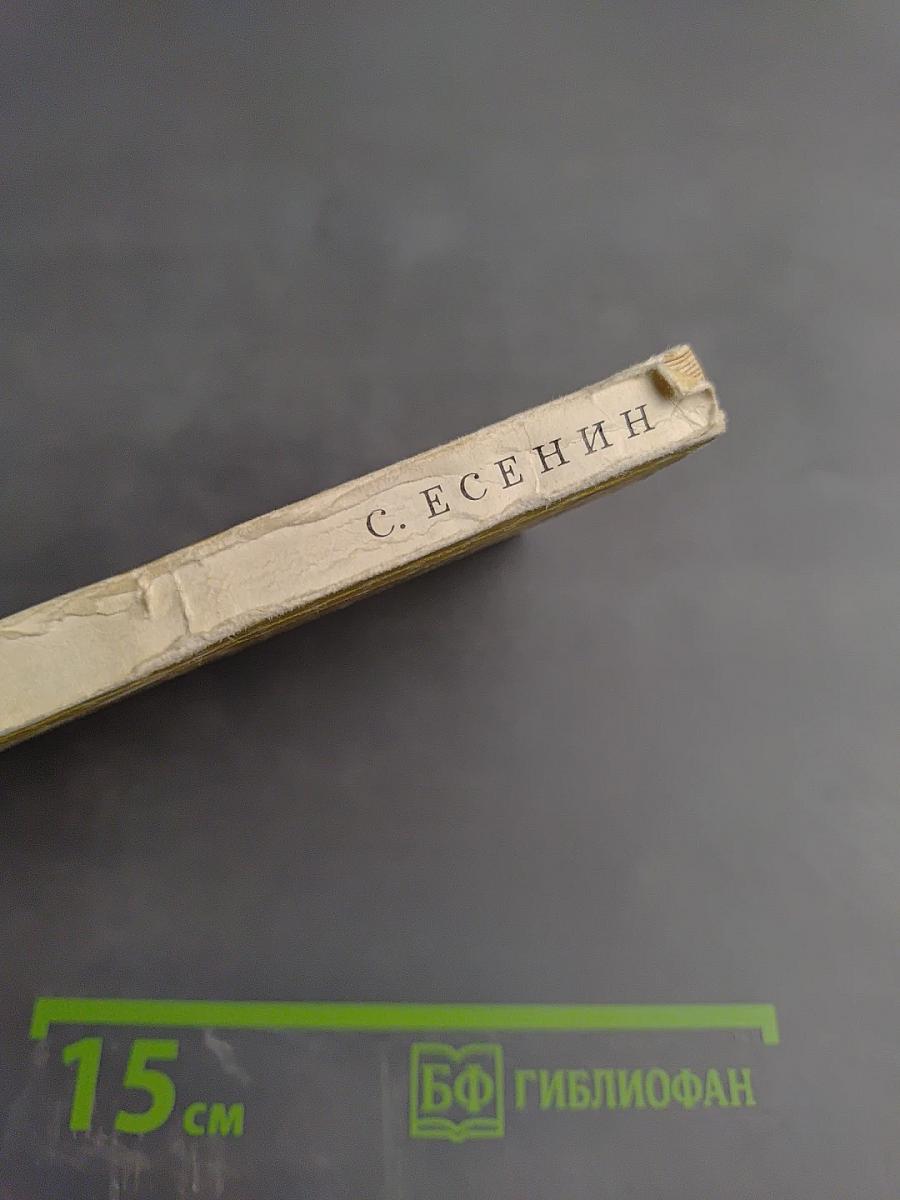 Стихотворения. Поэмы