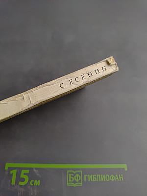 Стихотворения. Поэмы