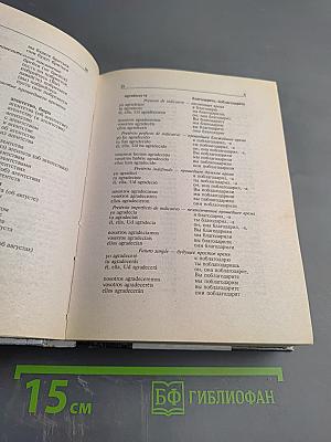 Испанско-русский русско-испанский Словарь с использованием грамматики