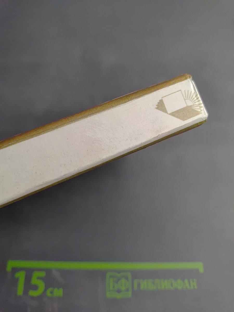 Стасовы в Петербурге – Петрограде