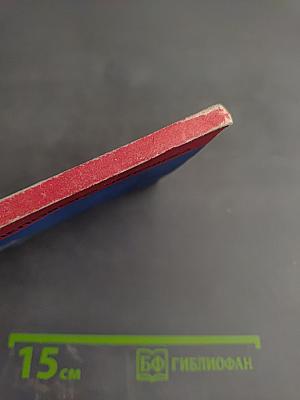 Любовь побеждает страх