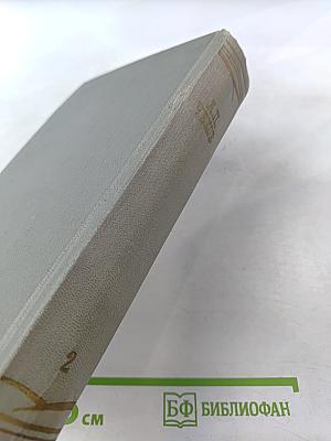 Собрание сочинений. Том второй. Рассказы 1883-1885