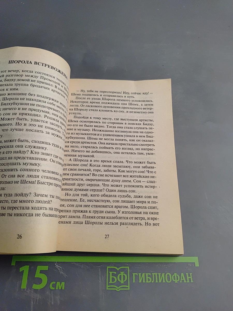 Украденное счастье