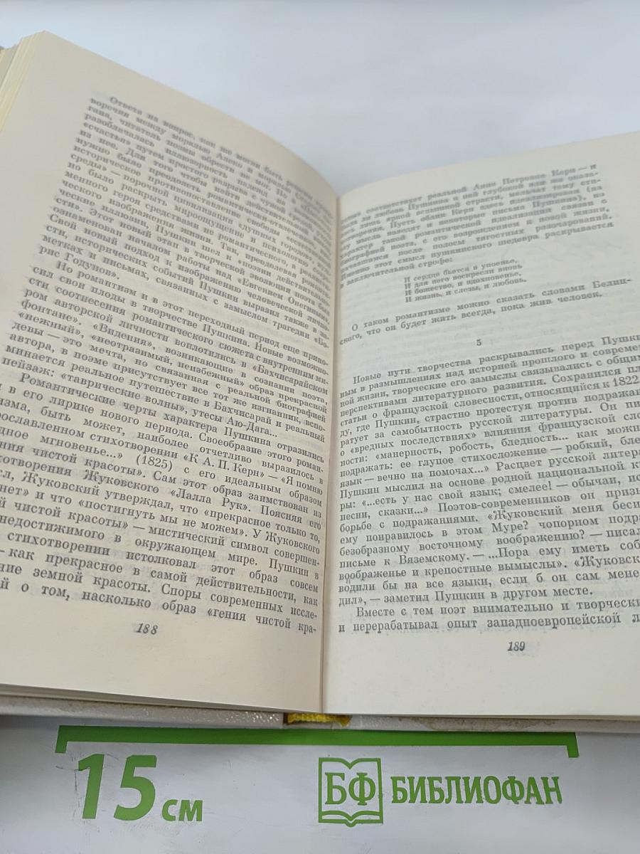 Жизнь Александра Пушкина