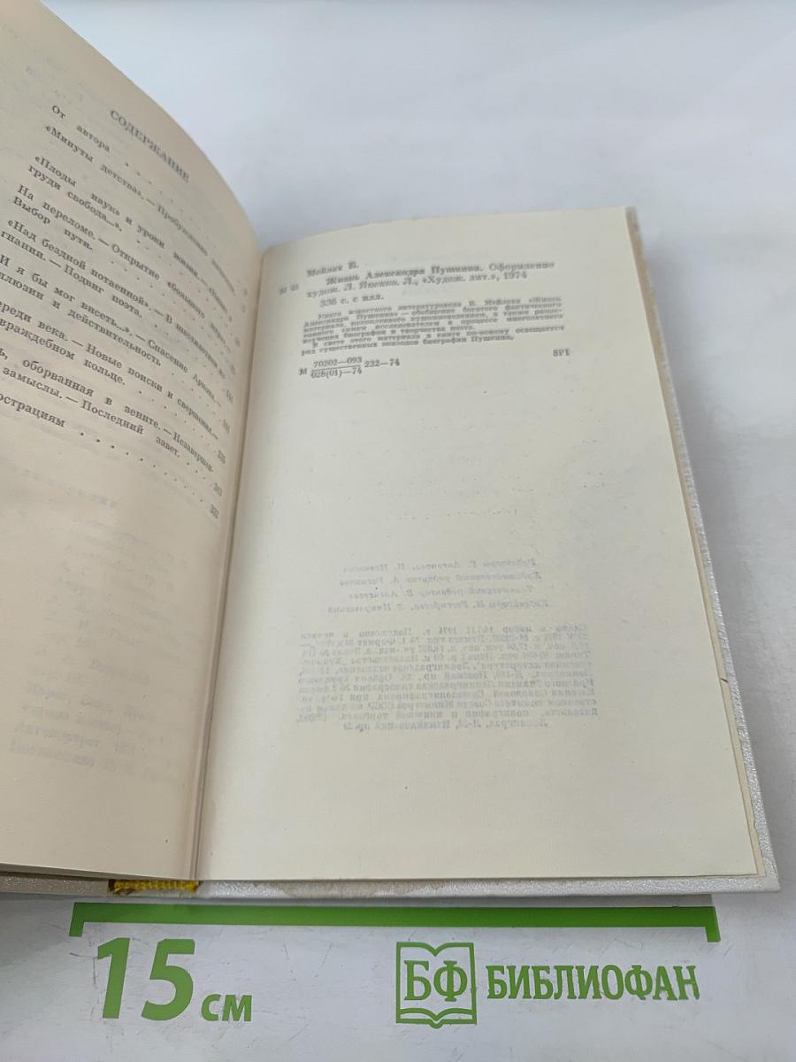 Жизнь Александра Пушкина