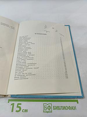 А разве голубые дороги бывают?