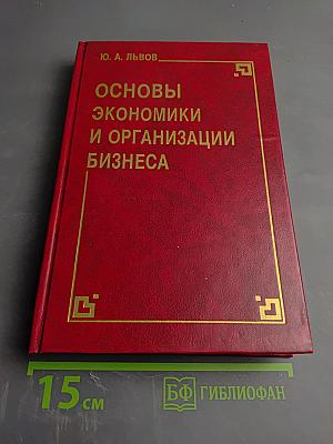 Основы экономики и организации бизнеса
