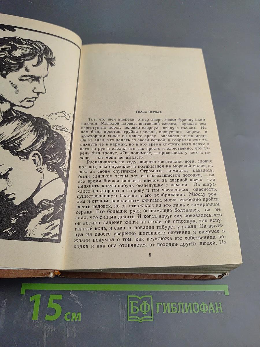 Любовь к жизни. Роман и рассказы