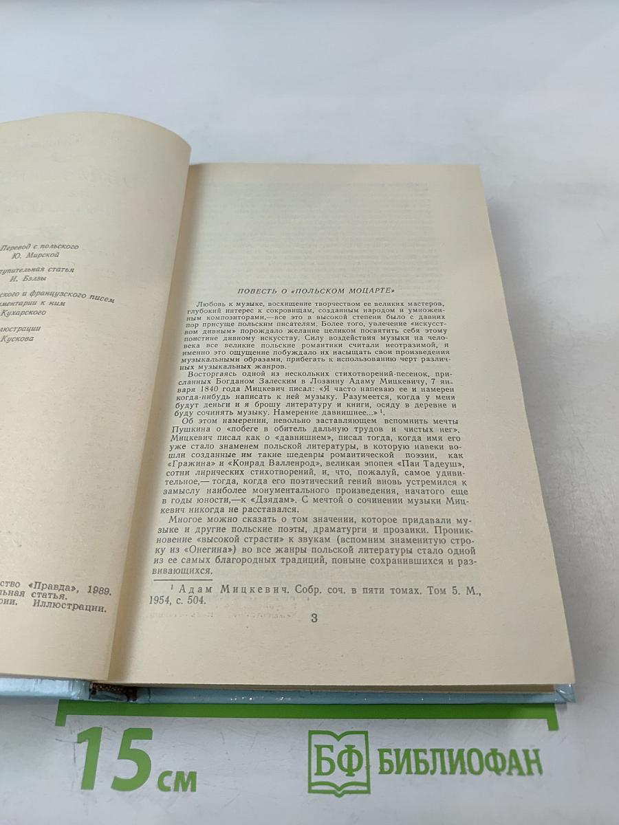 Образ любви. Повесть о жизни Фридерика Шопена. Письма Шопена