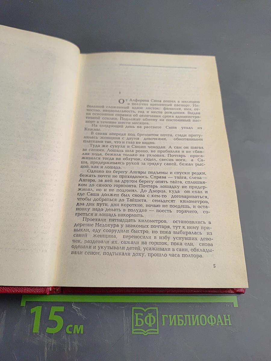 Страх. Книга вторая (Тридцать пятый и другие годы)