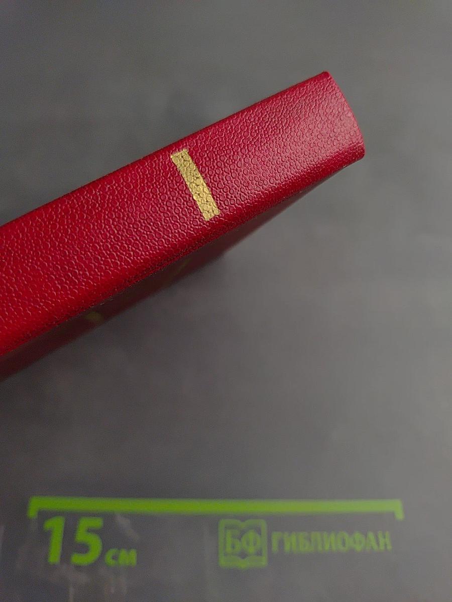 Страх. Книга вторая (Тридцать пятый и другие годы)