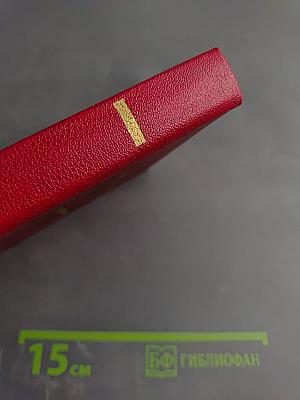 Страх. Книга вторая (Тридцать пятый и другие годы)