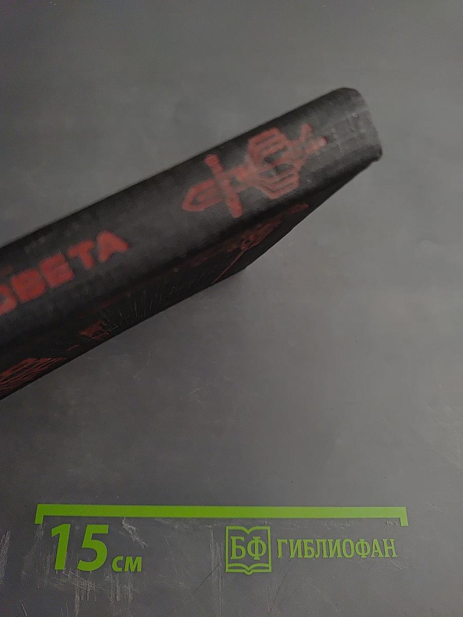 Воины Рассвета