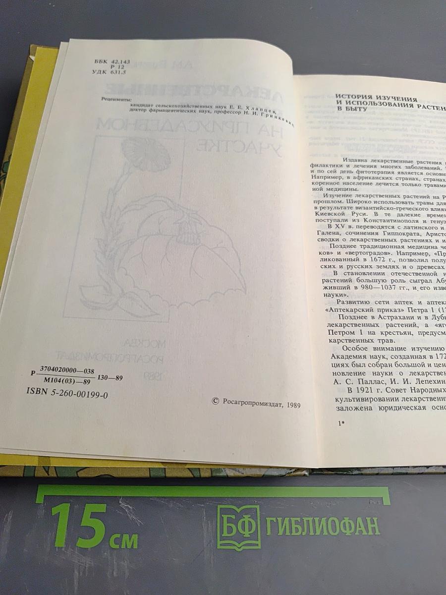 Лекарственные растения на приусадебном участке