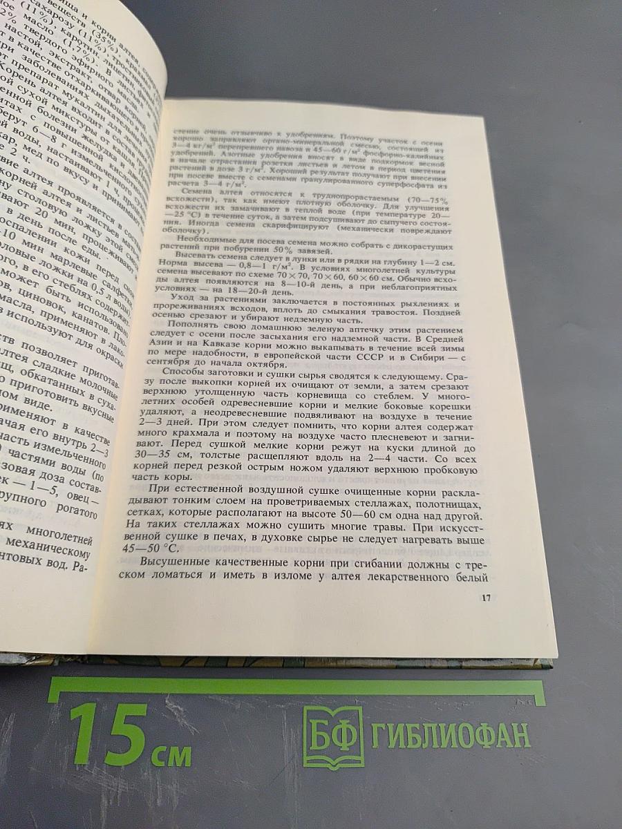 Лекарственные растения на приусадебном участке