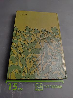 Лекарственные растения на приусадебном участке