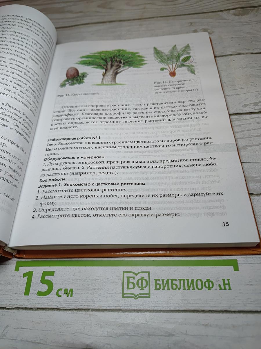 Биология 6 класс