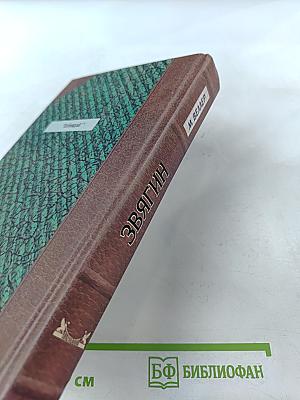 Приключения майора Звягина