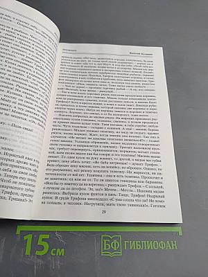 Мы Петербуржцы