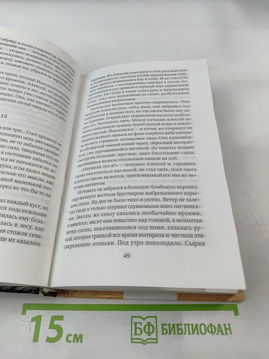 Повесть о настоящем человеке