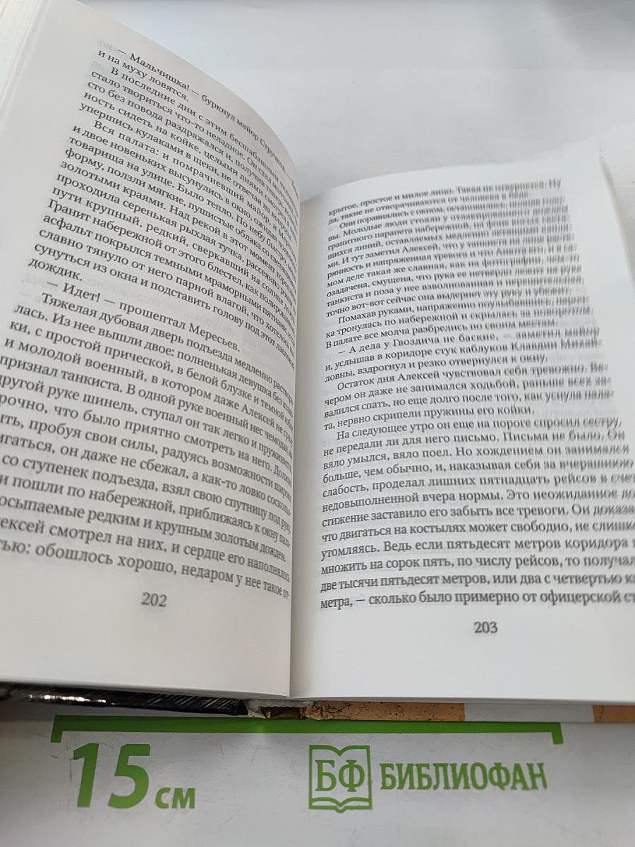 Повесть о настоящем человеке