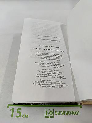 Повесть о настоящем человеке