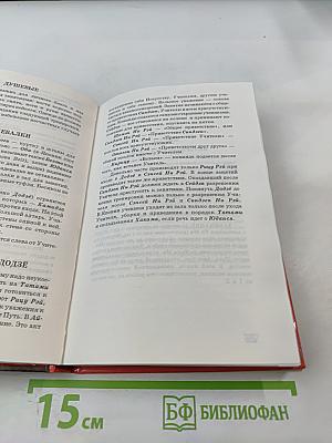 Айкибудо: От новичка к первому дану