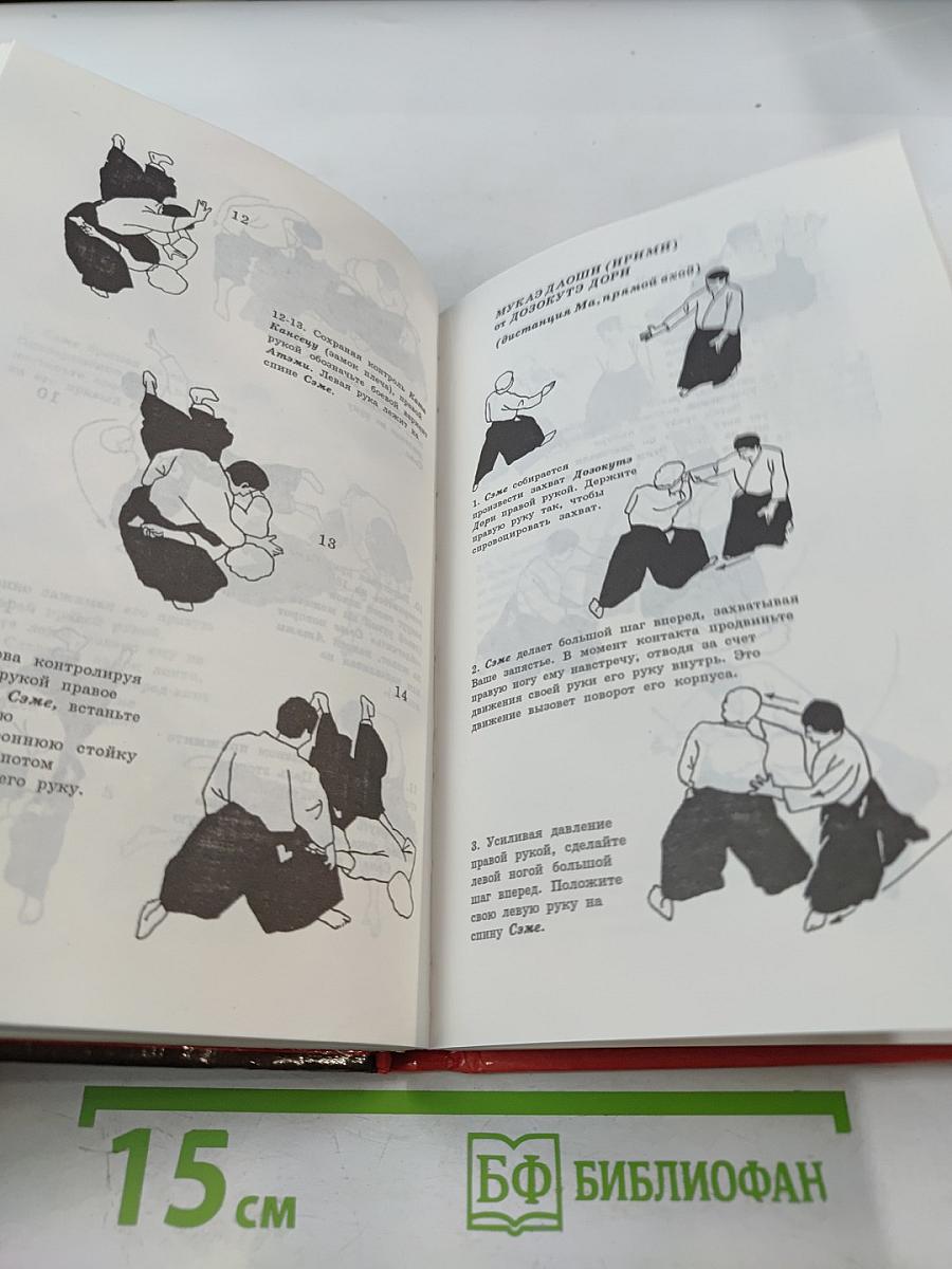 Айкибудо: От новичка к первому дану