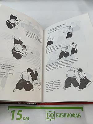 Айкибудо: От новичка к первому дану