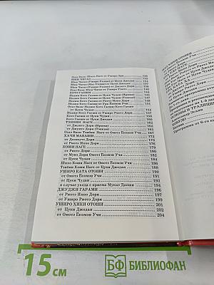 Айкибудо: От новичка к первому дану