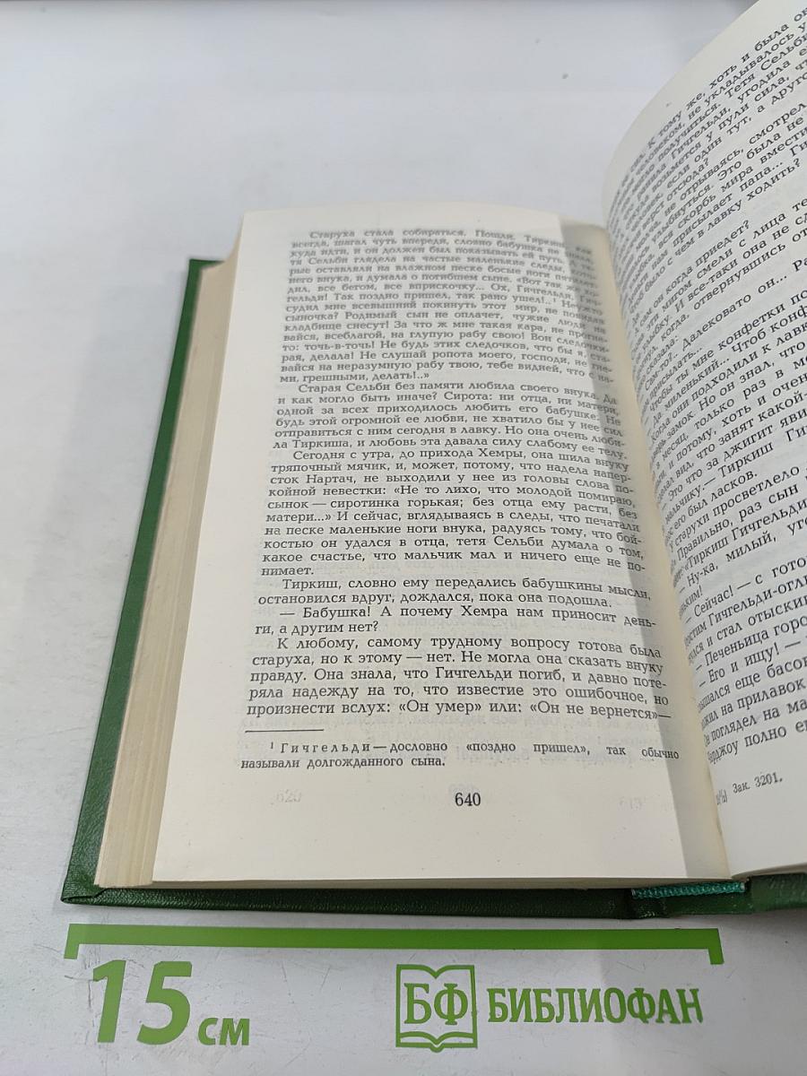 Избранные страницы. Проза. Том 1