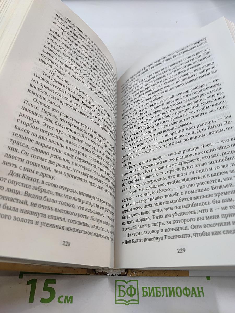 Хитроумный идальго Дон Кихот Ламанчский