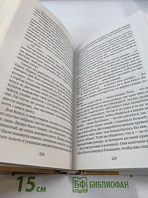 Хитроумный идальго Дон Кихот Ламанчский