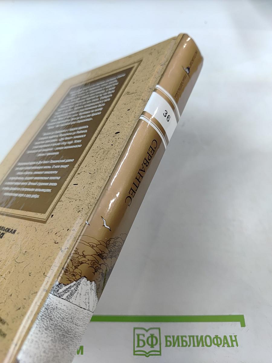 Хитроумный идальго Дон Кихот Ламанчский