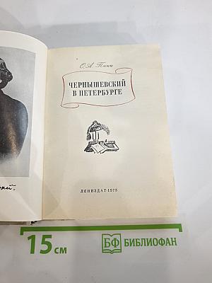 Чернышевский в Петербурге