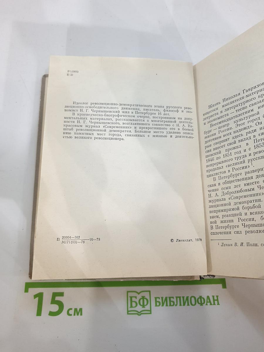 Чернышевский в Петербурге