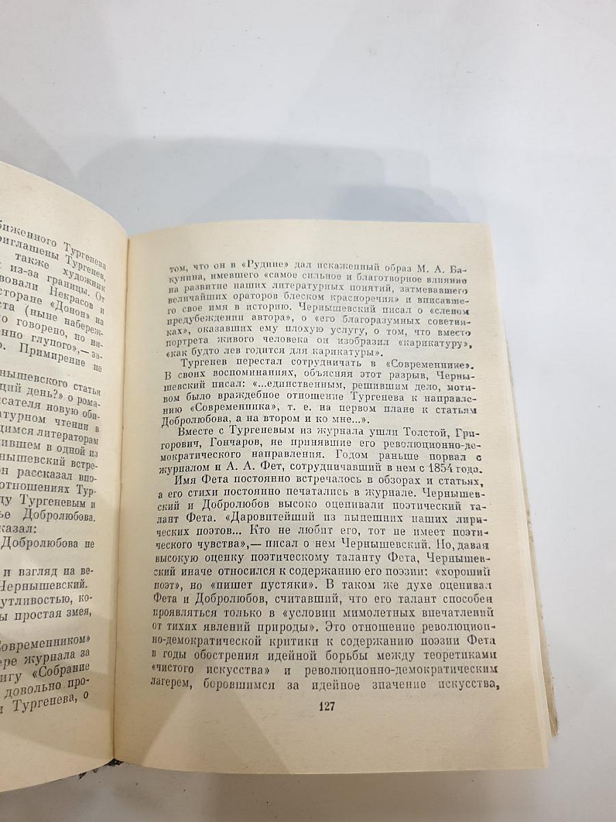 Чернышевский в Петербурге
